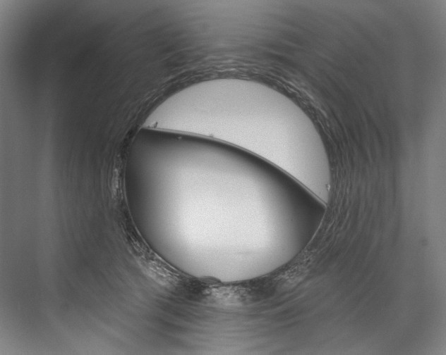 X0000076440417200610061030