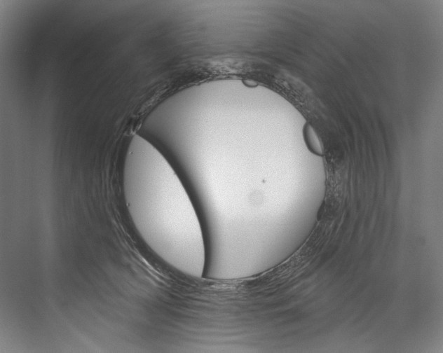 X0000076440418200610061030