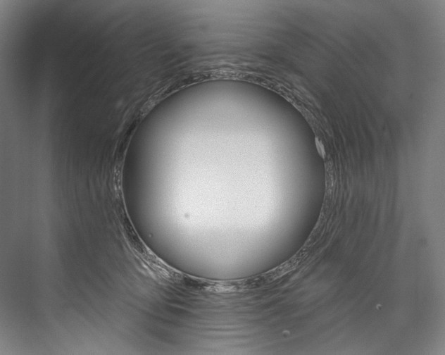 X0000076440419200610061030