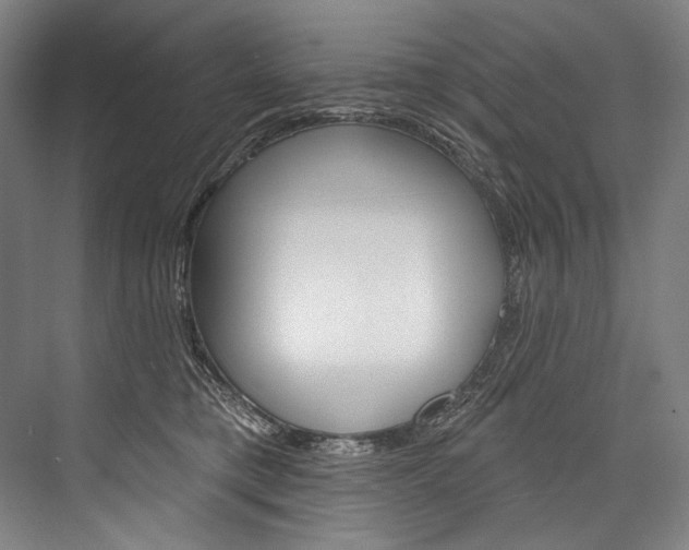 X0000076440421200610061030