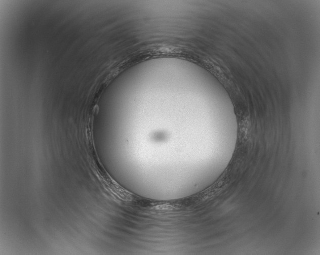X0000076440423200610061030