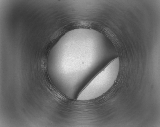X0000076440425200610061030