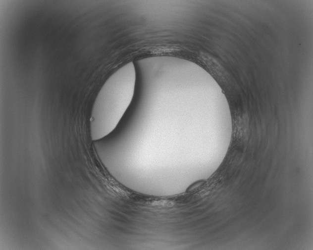 X0000076440426200610061030