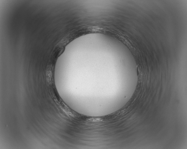 X0000076440427200610061030