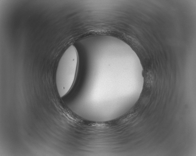 X0000076440428200610061030