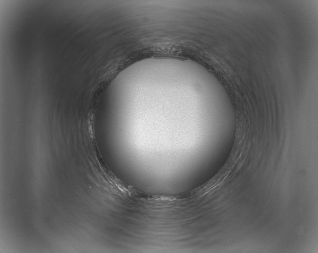 X0000076440432200610061030