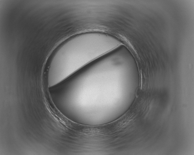 X0000076440435200610061029