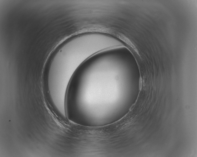X0000076440436200610061029