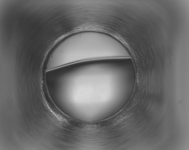 X0000076440438200610061029