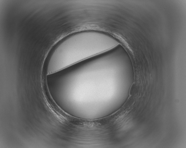 X0000076440439200610061029