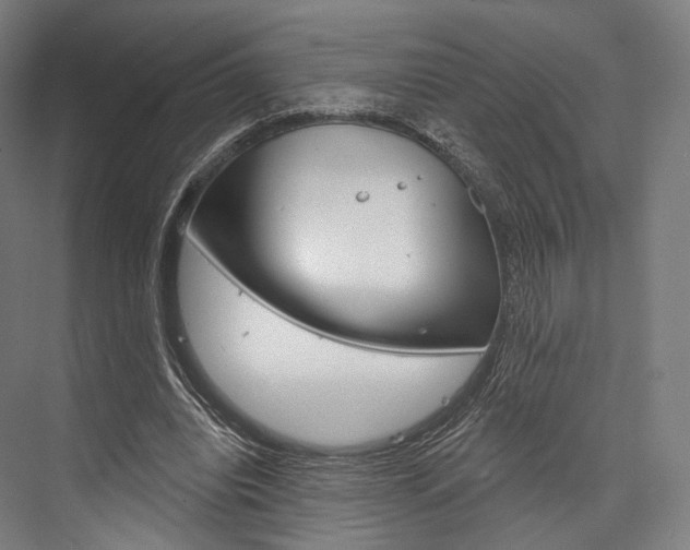 X0000076440440200610061029