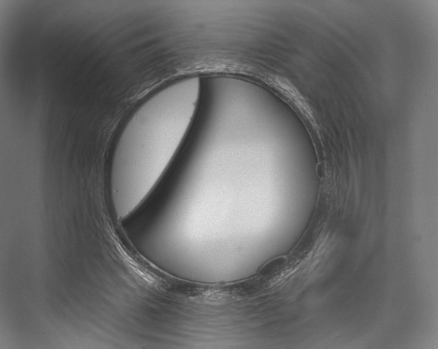 X0000076440441200610061029