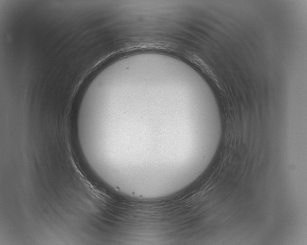X0000076440444200610061029