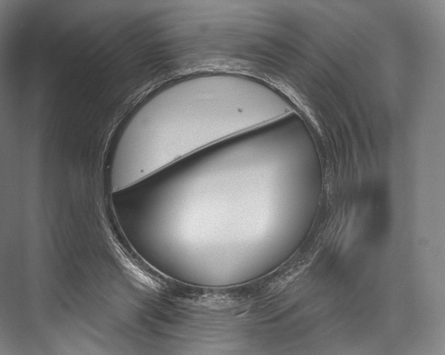 X0000076440445200610061029