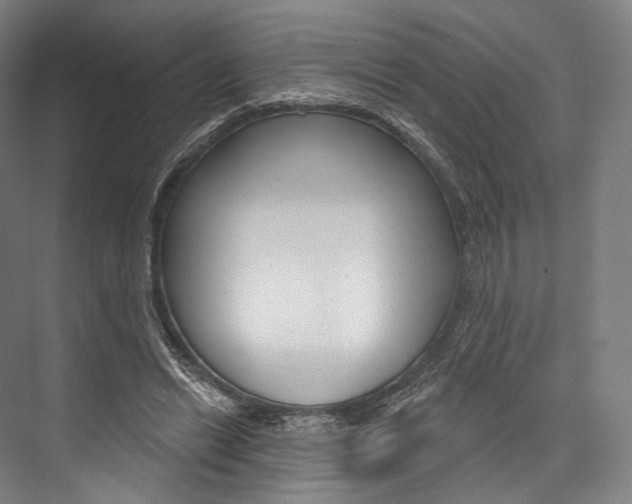 X0000076440446200610061029