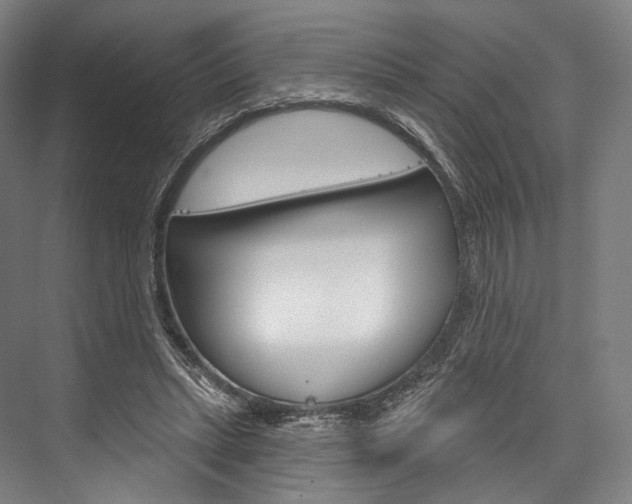 X0000076440447200610061029