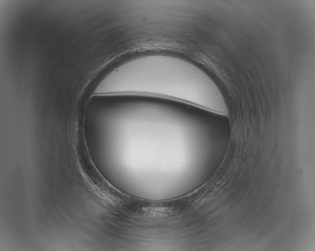 X0000076440448200610061029