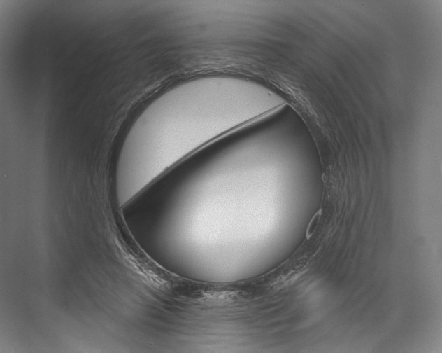 X0000076440450200610061029