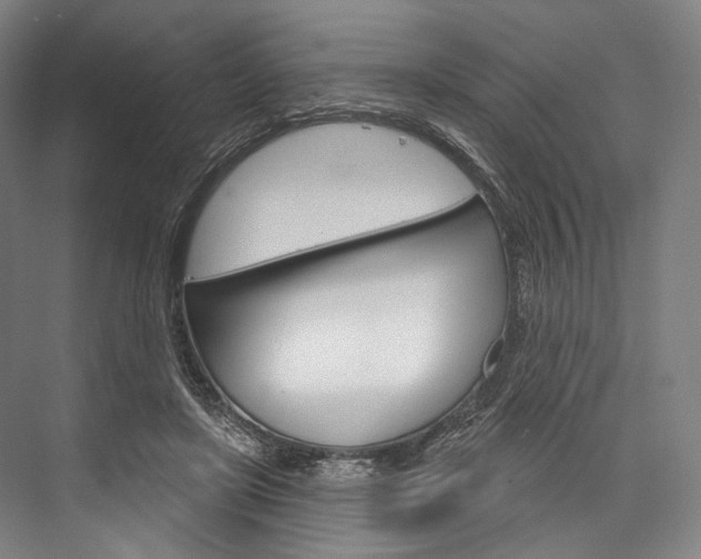 X0000076440451200610061029