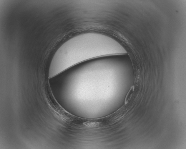 X0000076440452200610061029