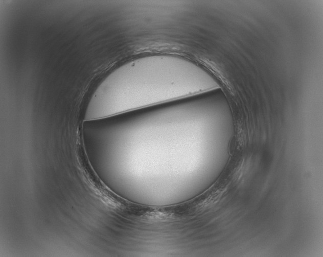 X0000076440453200610061029