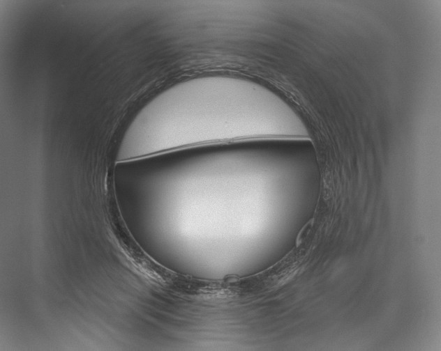 X0000076440454200610061029