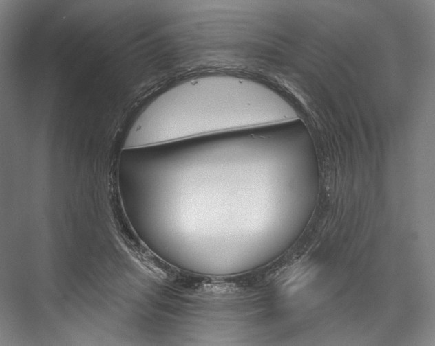 X0000076440455200610061029