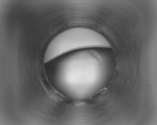 X0000076440456200610061029