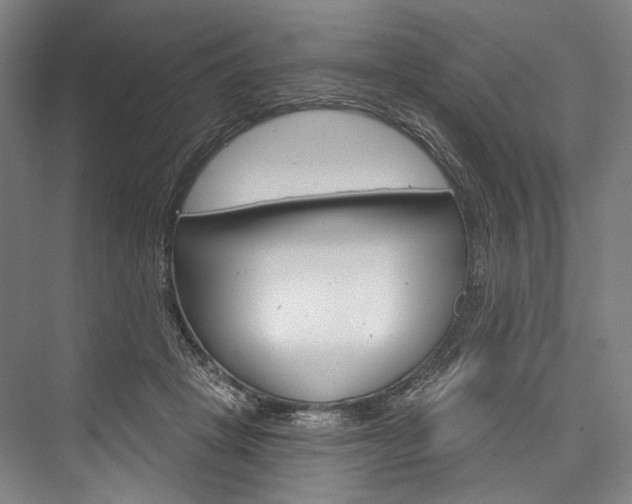 X0000076440457200610061029