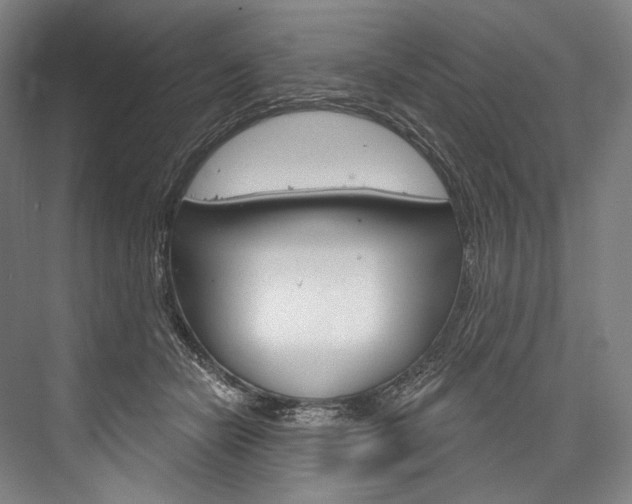 X0000076440462200610061030