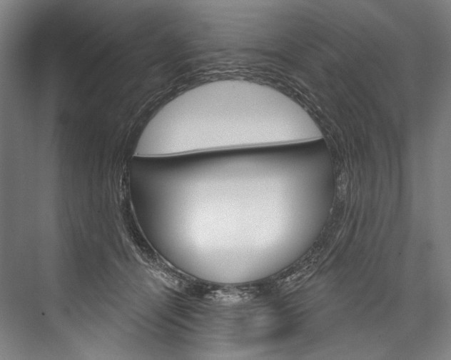 X0000076440464200610061030