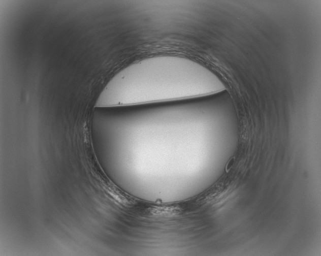 X0000076440465200610061030