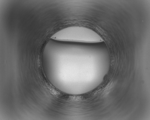X0000076440469200610061030