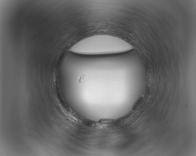 X0000076440472200610061030