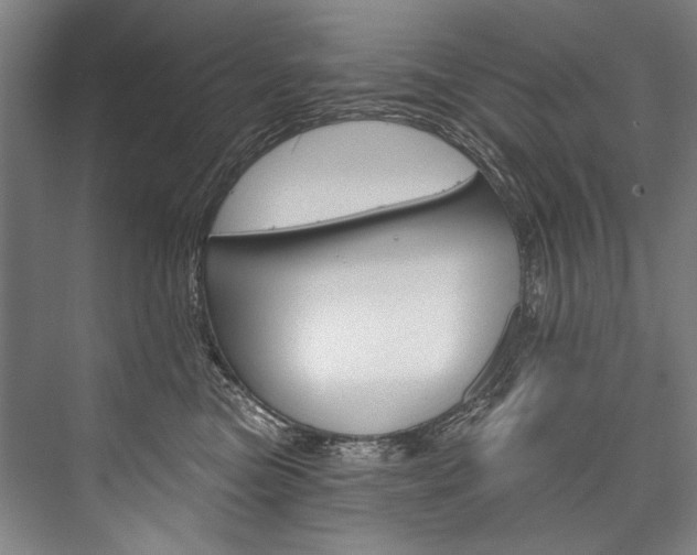 X0000076440473200610061030