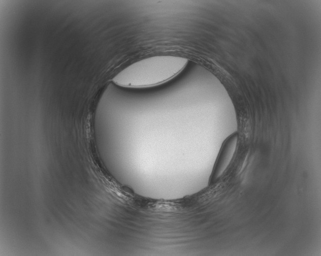 X0000076440475200610061030