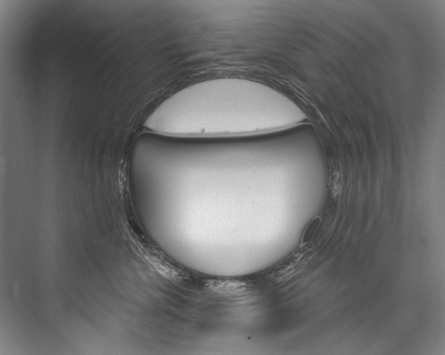 X0000076440476200610061030