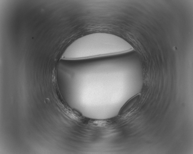 X0000076440478200610061030