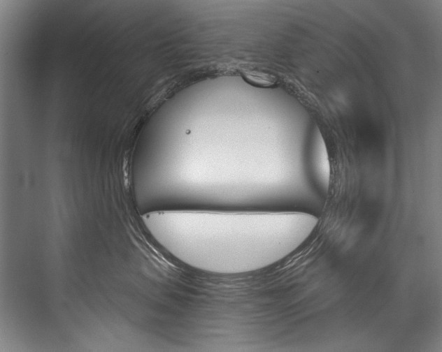 X0000076440479200610061030