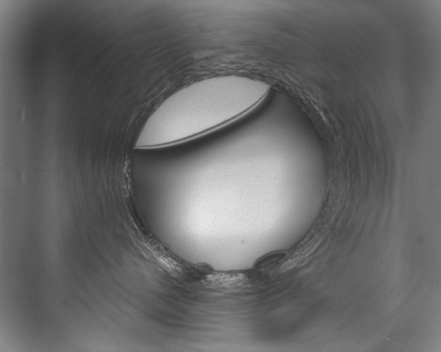 X0000076440480200610061030