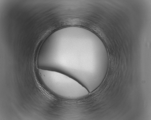 X0000076440482200610061029