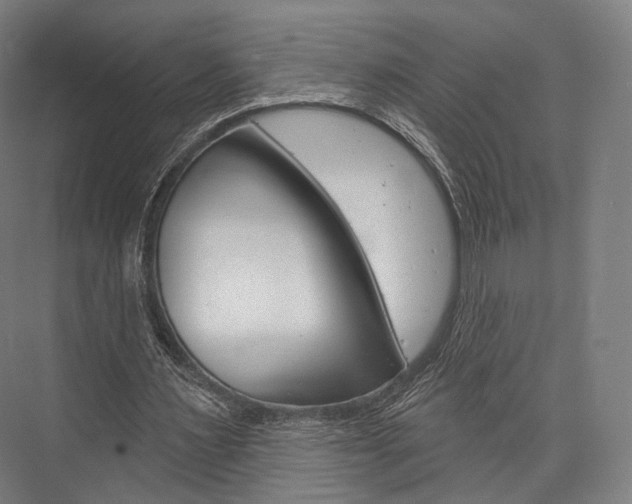 X0000076440483200610061029