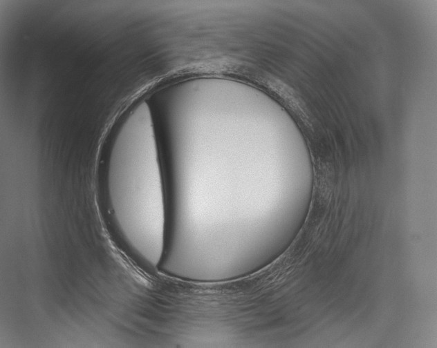 X0000076440486200610061029