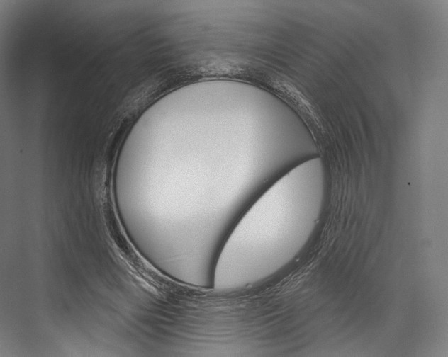 X0000076440490200610061029
