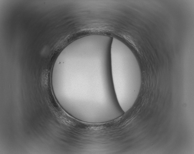 X0000076440495200610061029