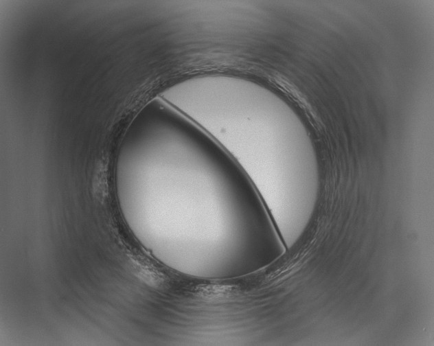 X0000076440497200610061029