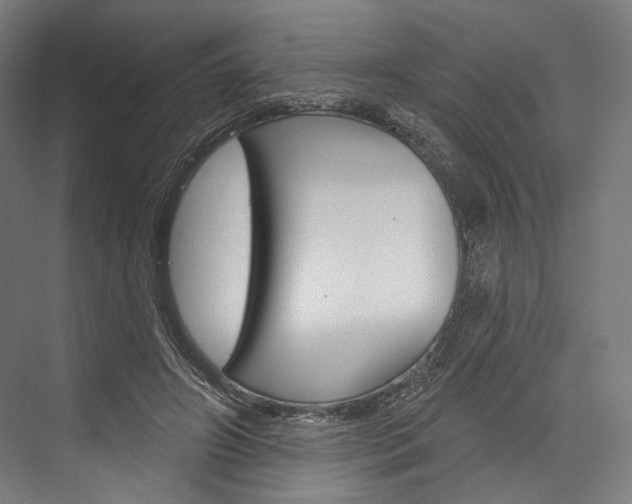 X0000076440498200610061029