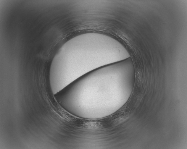 X0000076440499200610061029