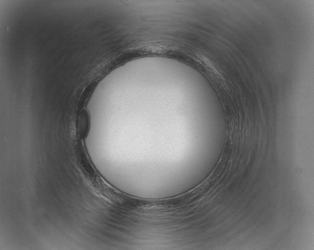 X0000076440500200610061029