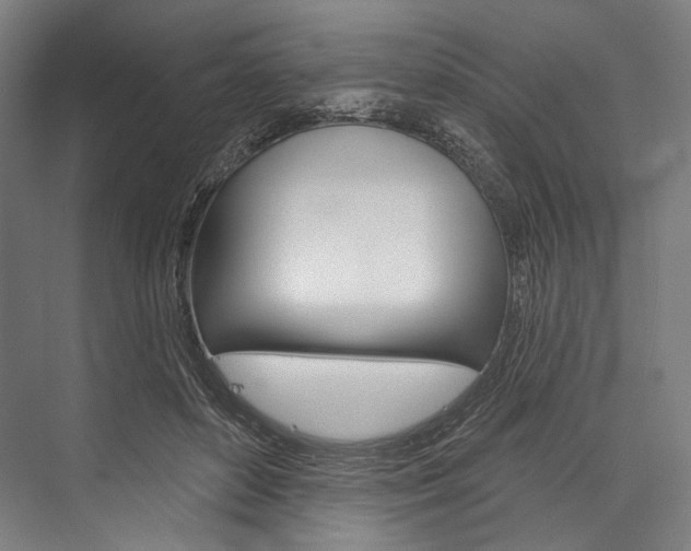 X0000076440504200610061029